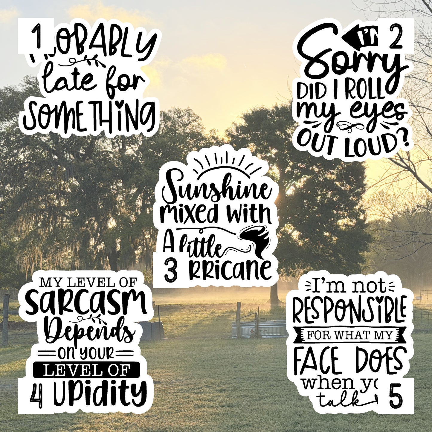Set of 5 Sassy Die-Cut Stickers | 20% Bundle Discount | 2, 3 or 4 Inch | Waterproof Vinyl or Paper Stickers