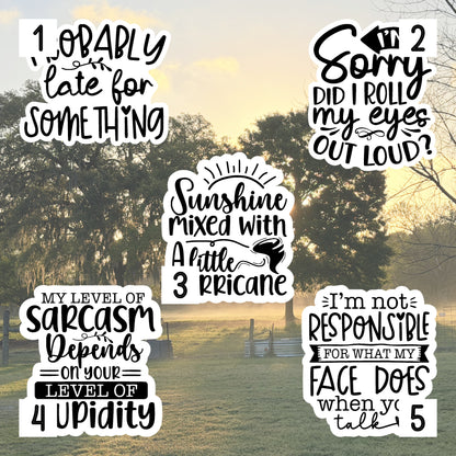 Set of 5 Sassy Die-Cut Stickers | 20% Bundle Discount | 2, 3 or 4 Inch | Waterproof Vinyl or Paper Stickers
