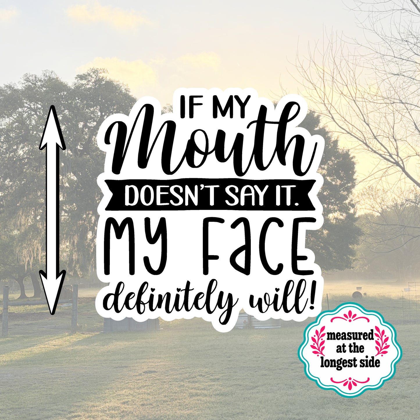 Set of 5 Sassy Die-Cut Stickers | 20% Bundle Discount | 2, 3 or 4 Inch | Waterproof Vinyl or Paper Stickers
