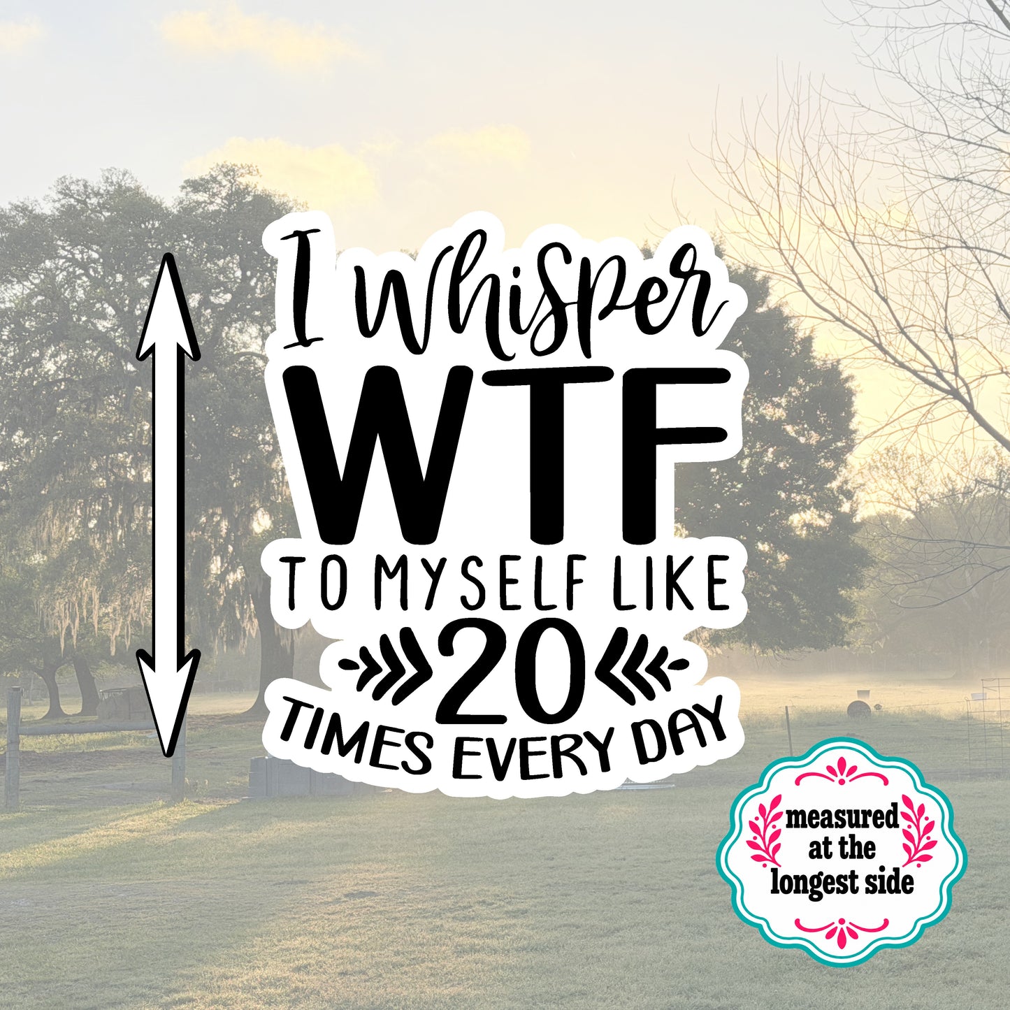 Set of 5 Sassy Die-Cut Stickers | 20% Bundle Discount | 2, 3 or 4 Inch | Waterproof Vinyl or Paper Stickers