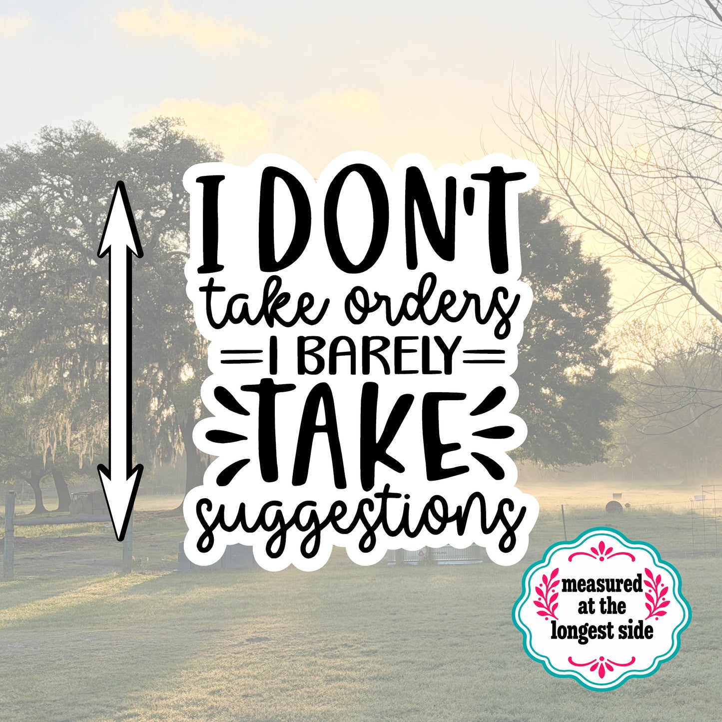 Set of 5 Sassy Die-Cut Stickers | 20% Bundle Discount | 2, 3 or 4 Inch | Waterproof Vinyl or Paper Stickers