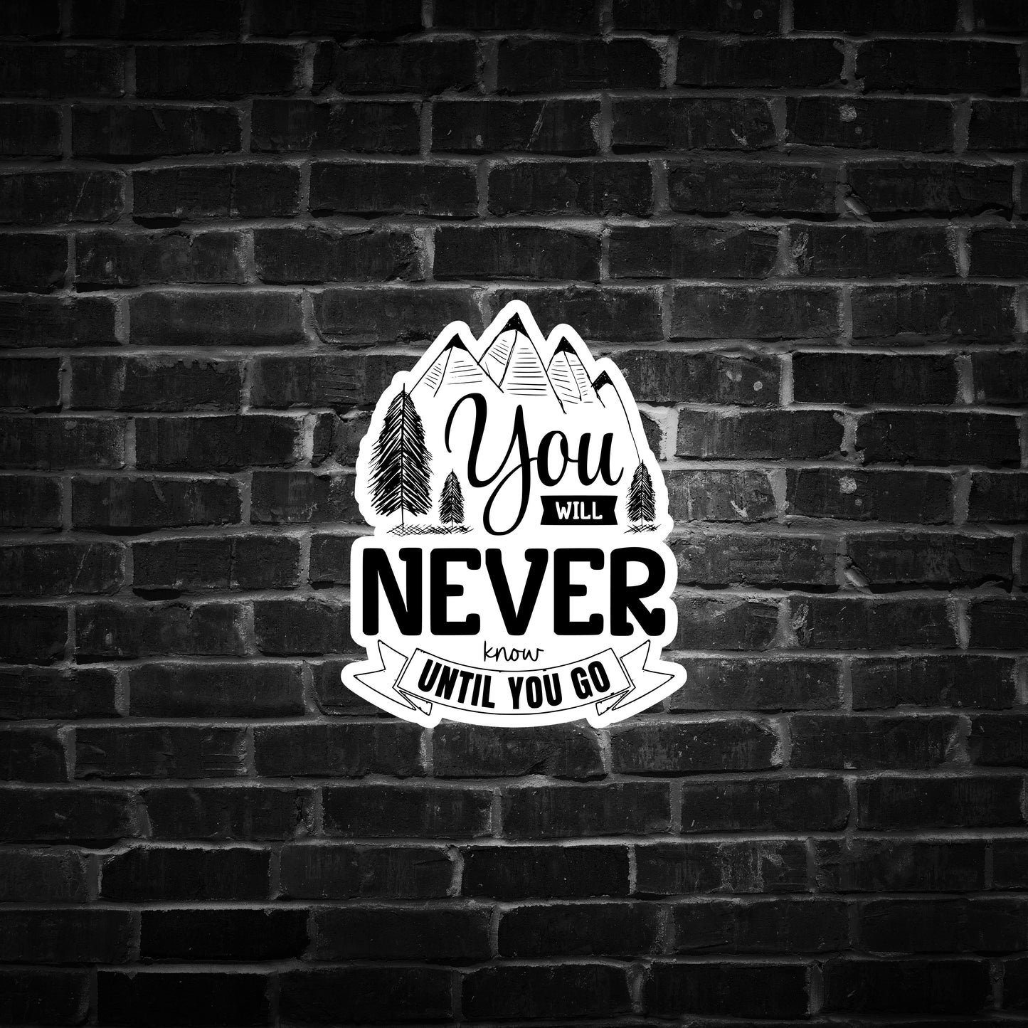 You Will Never Know Until You Go