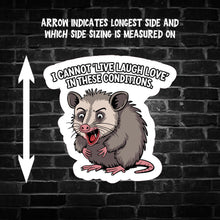 Load image into Gallery viewer, I Cannot 'Live Laugh Love' ... Opossum Sticker