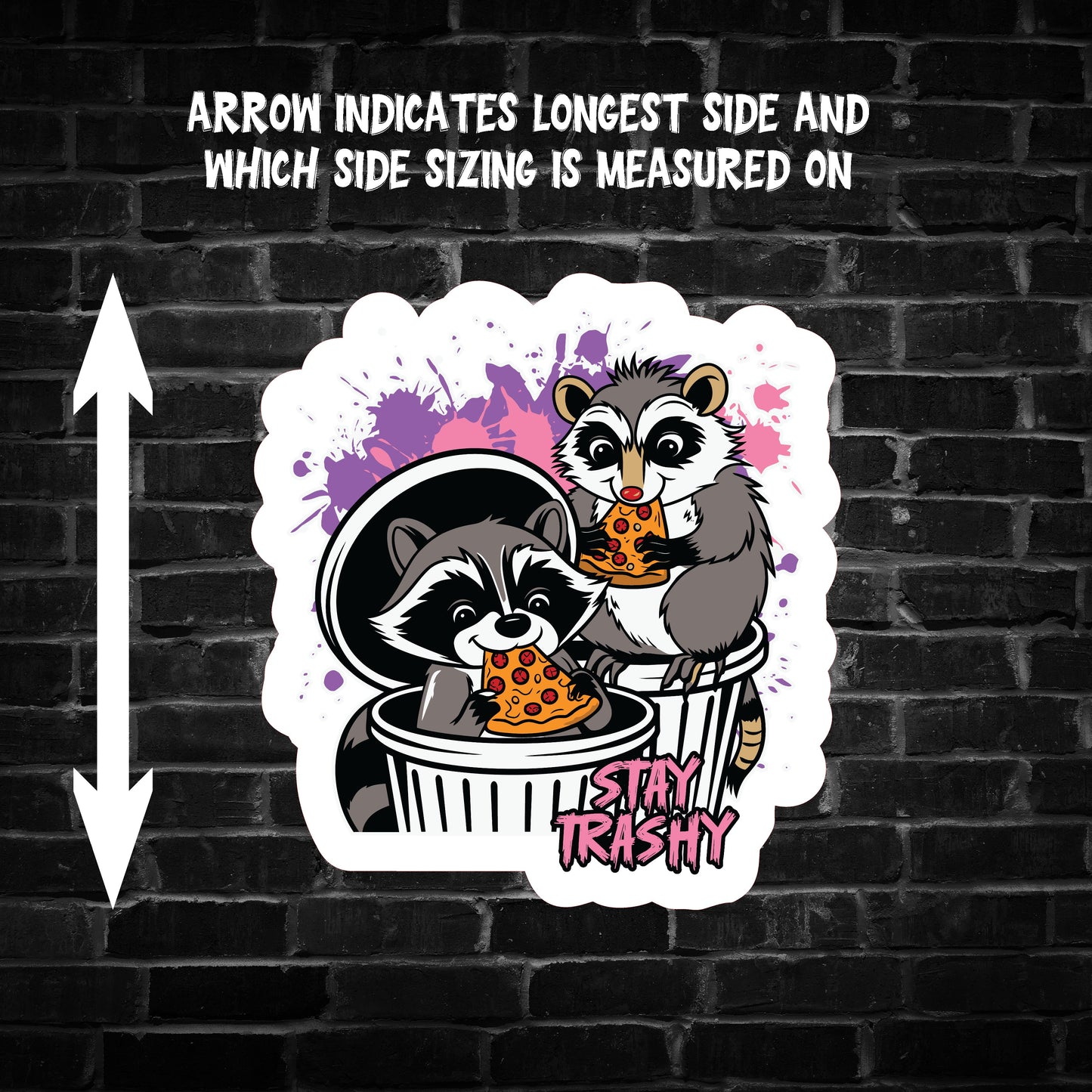 Stay Trashy Raccoon Sticker
