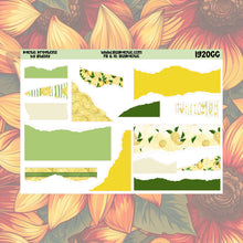 Load image into Gallery viewer, Lemonade Add-Ons Set 2